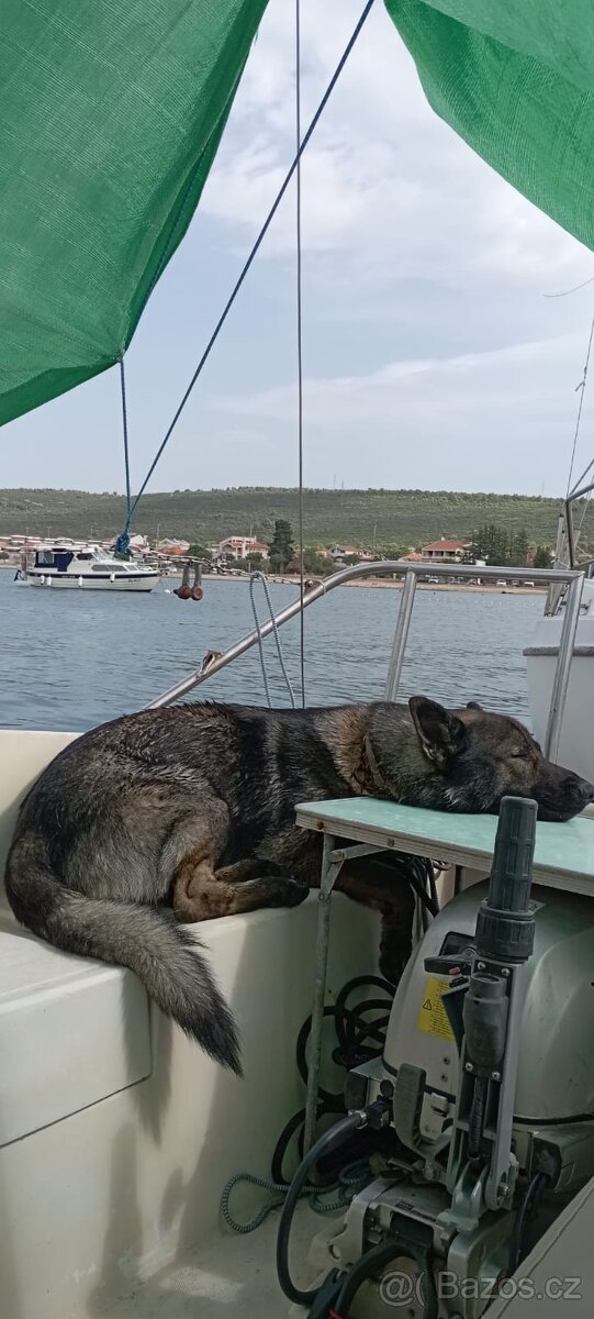 🛥️ Plachetnice Ariel – stabilní německá klasika s přívěsem - 9