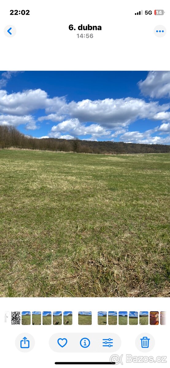 Boxové ustájení - 9