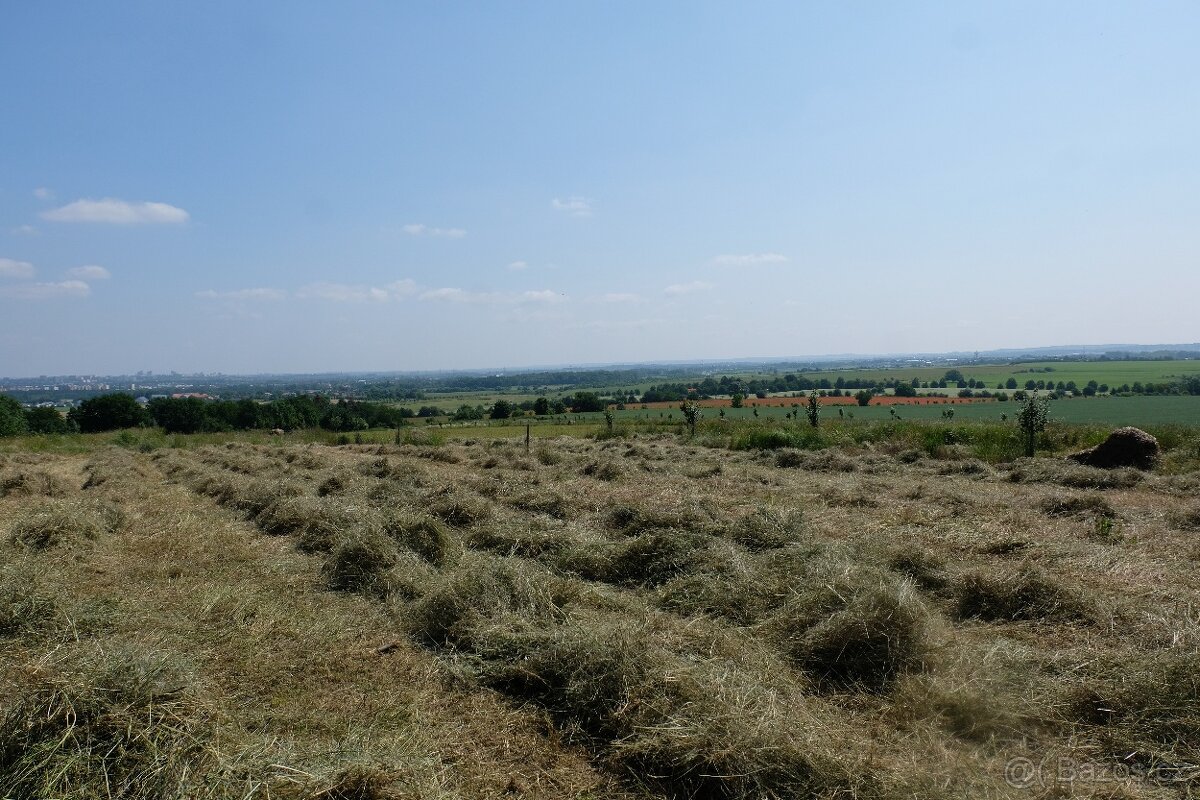 Prodej lučního sena - 9