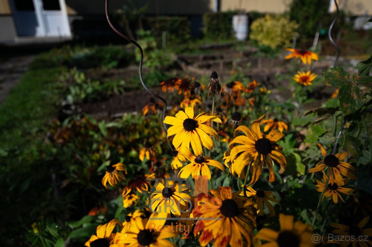 Prodej bytu 1+1 o rozloze 45 m², ulice Hradecká, Královo Pol - 9