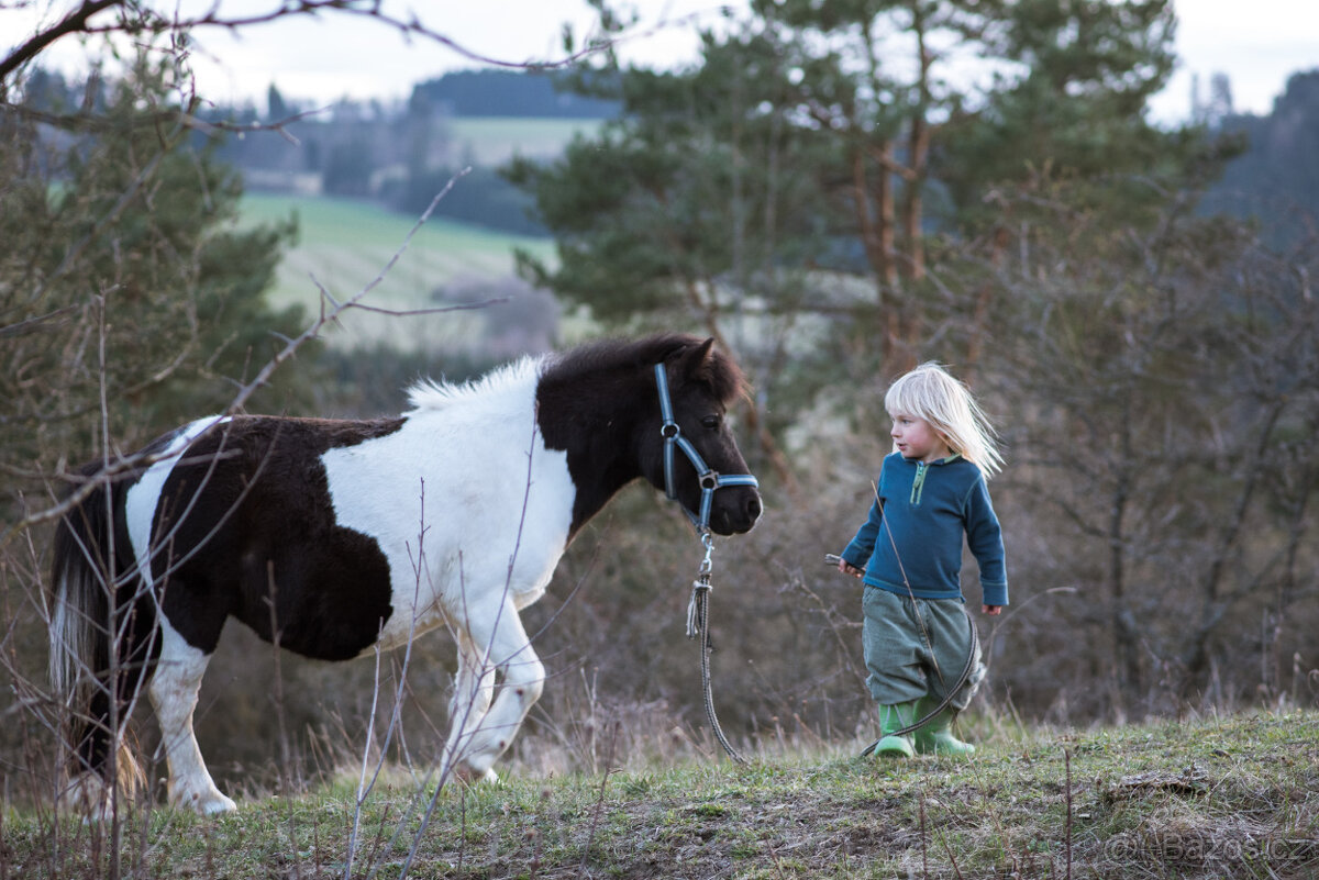 SVATEBNÍ MÍSTO V PŘÍRODĚ A PRO PŘÍRODU - 9