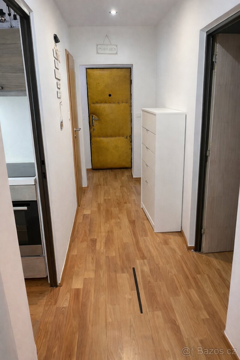 Prodej bytu 2+1 - 9