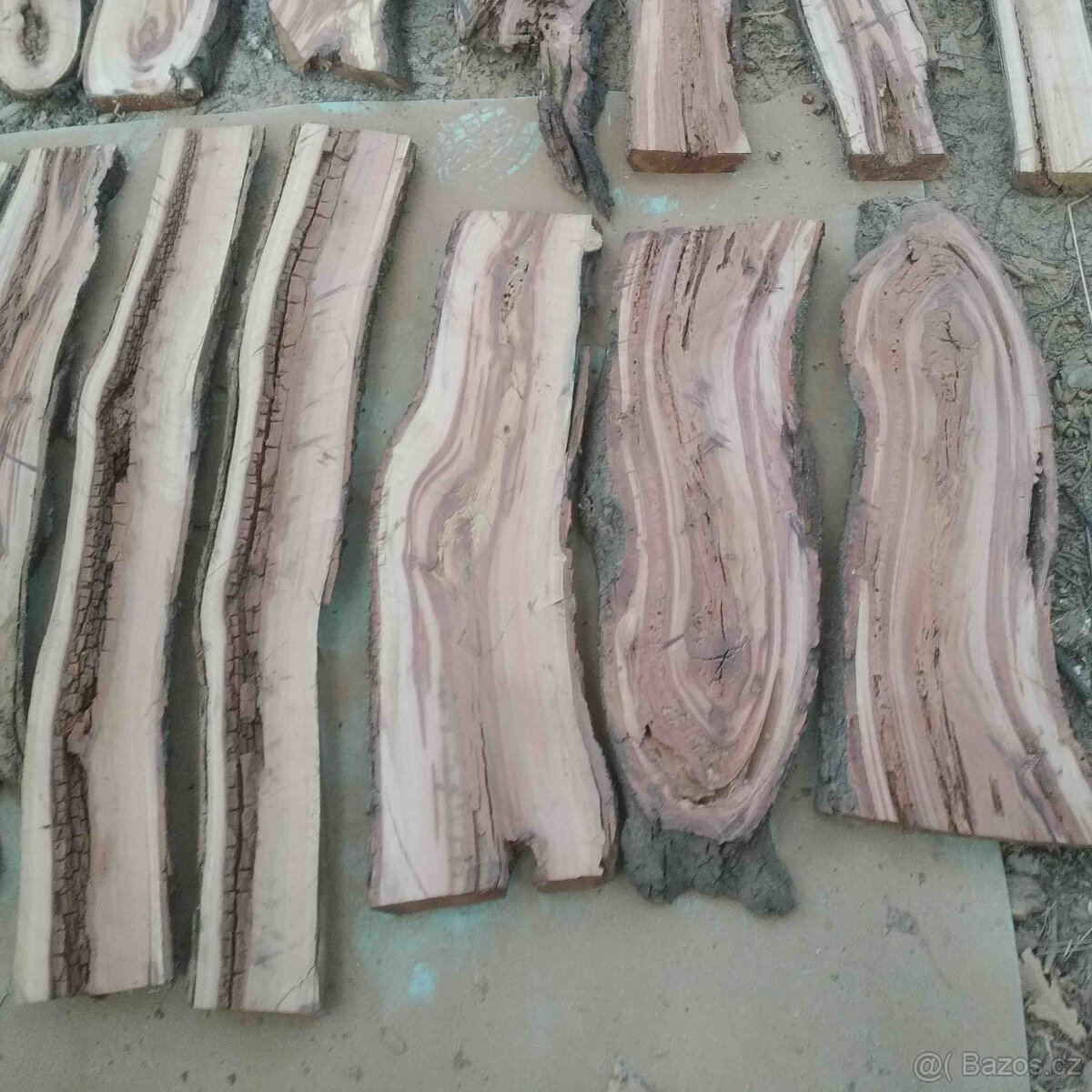 švestka fošny 4cm silné,vhodné do pryskyřice a na dekoraci - 9