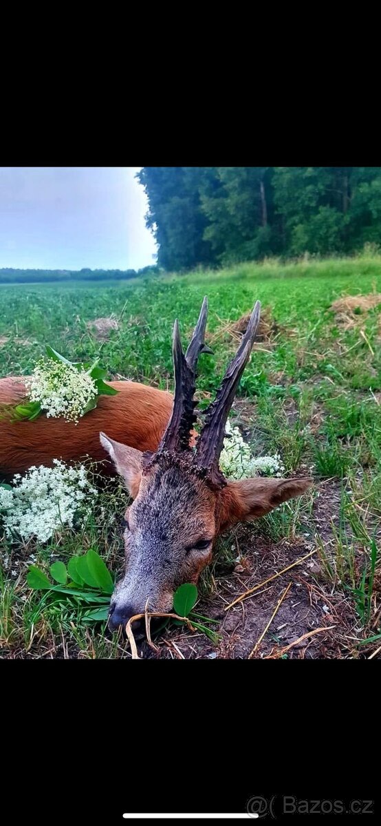 Polovačka v maďaesku - 9