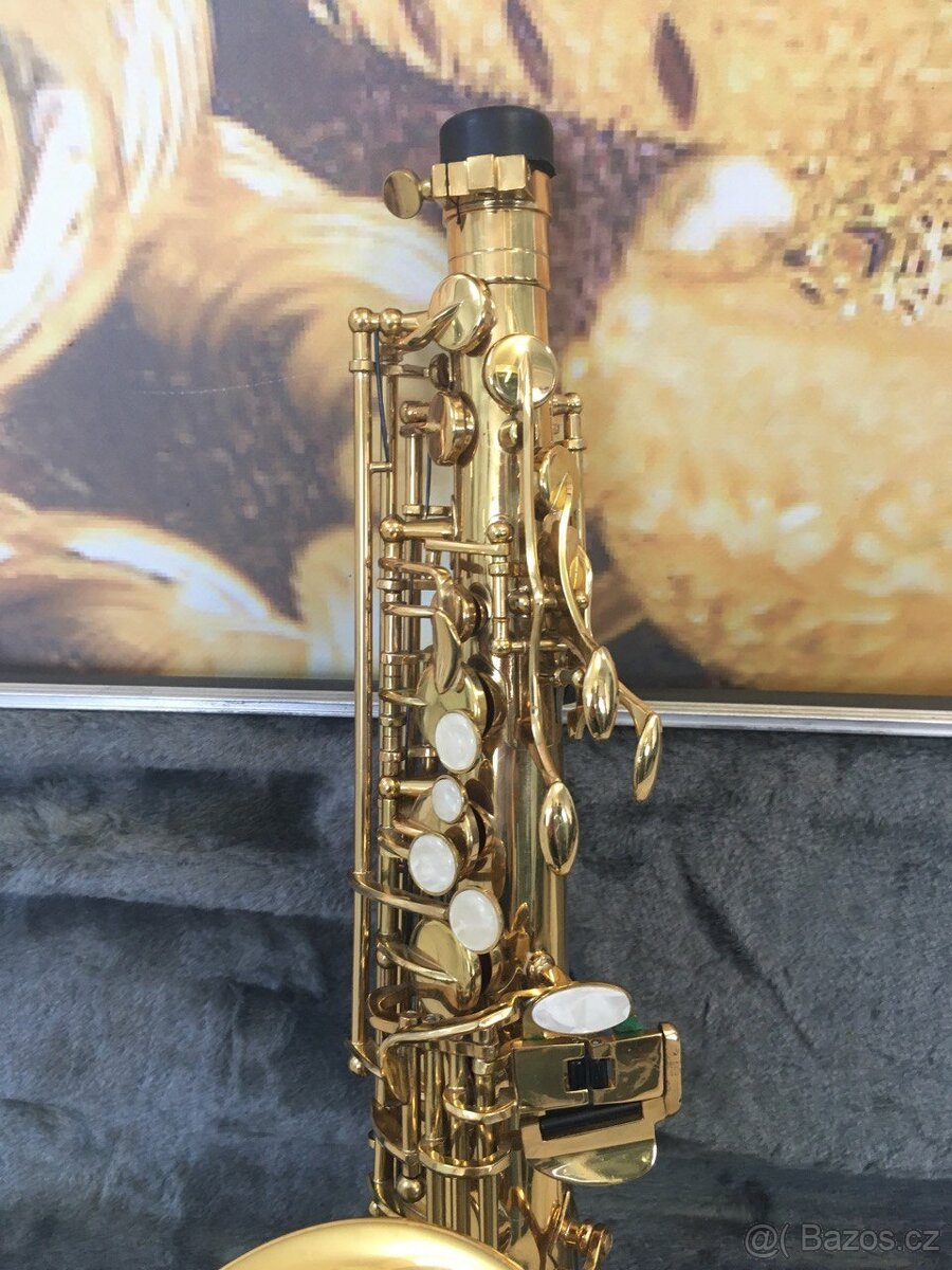 Saxofon Giant - 9