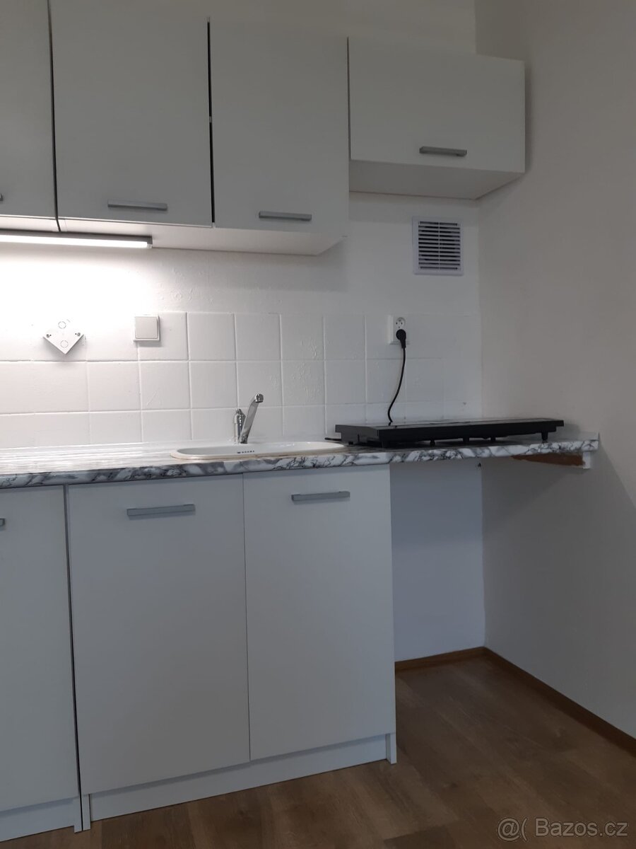 Pronájem bytu 1+kk - 9