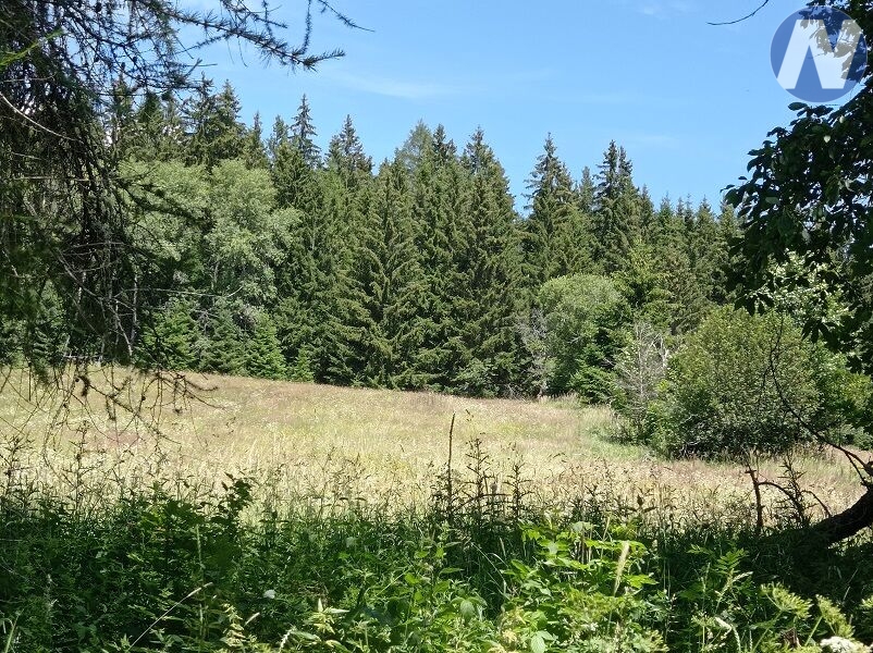 Černá Lada, pozemek s výměrou 22.888 m2 - 9