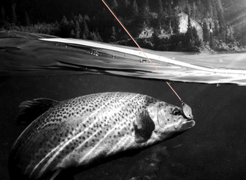 Rybolov - 300m šnúra - 9