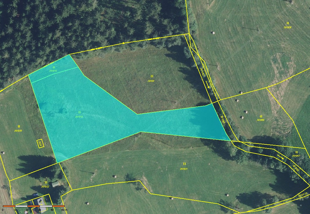 Prodej pozemku 5776 m2 v Borové u Poličky, okr. Svitavy - 9