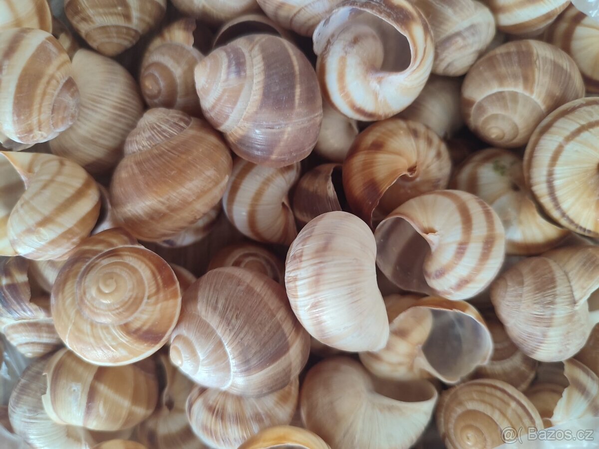 Velikonoční dekorace - 9