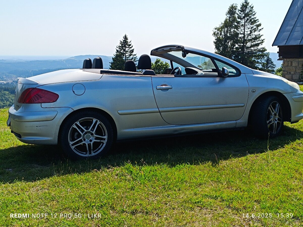 Peugeot 307 cc, 2.0 HDi - 9