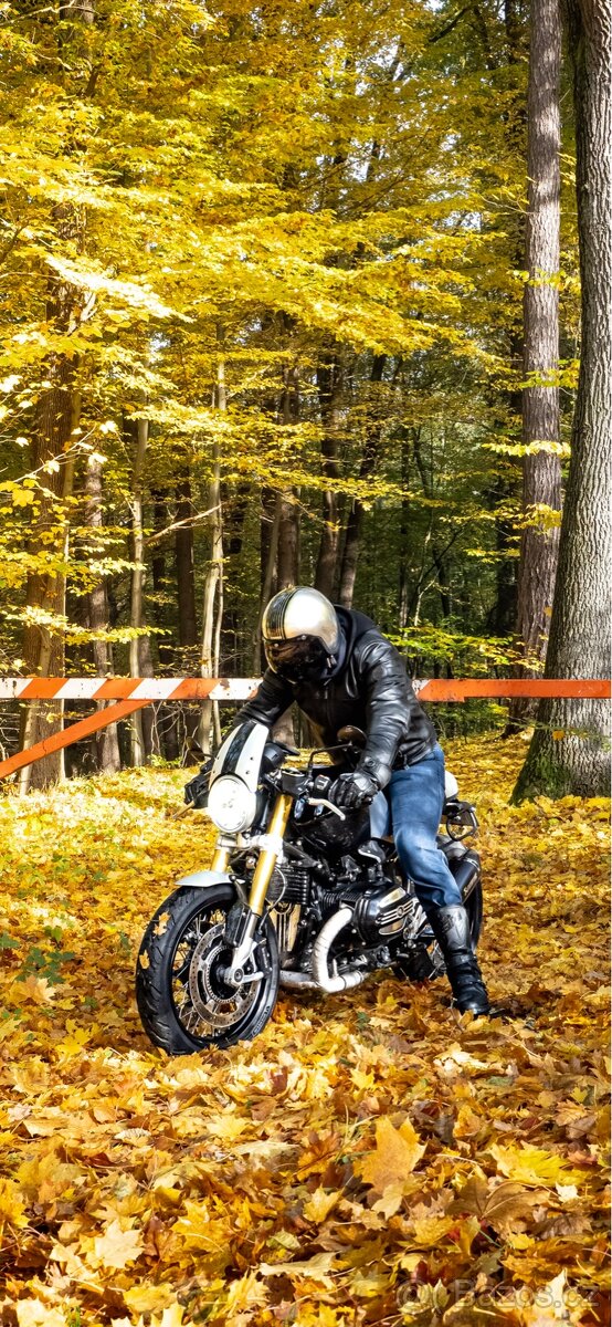 Bmw r ninet 2015 - 9