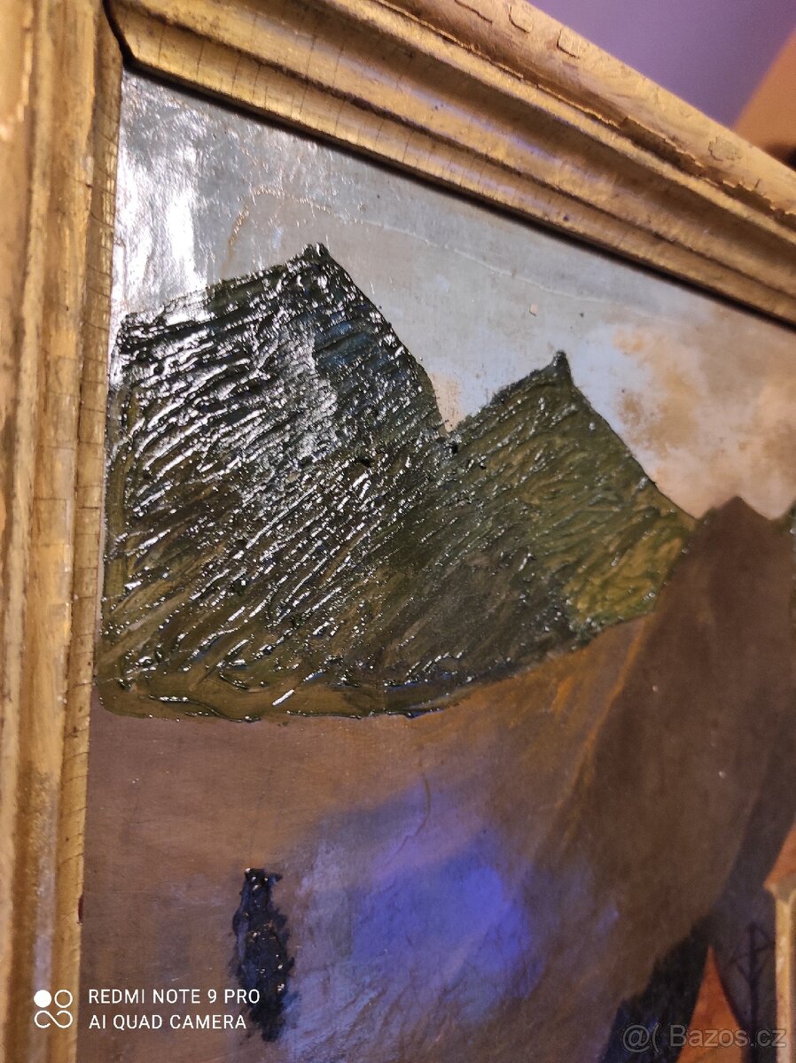 Obraz olej na plátně 44 x 36 - 9