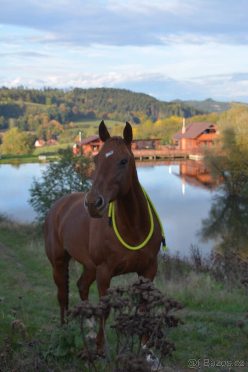 Prodej květen- červen - 9