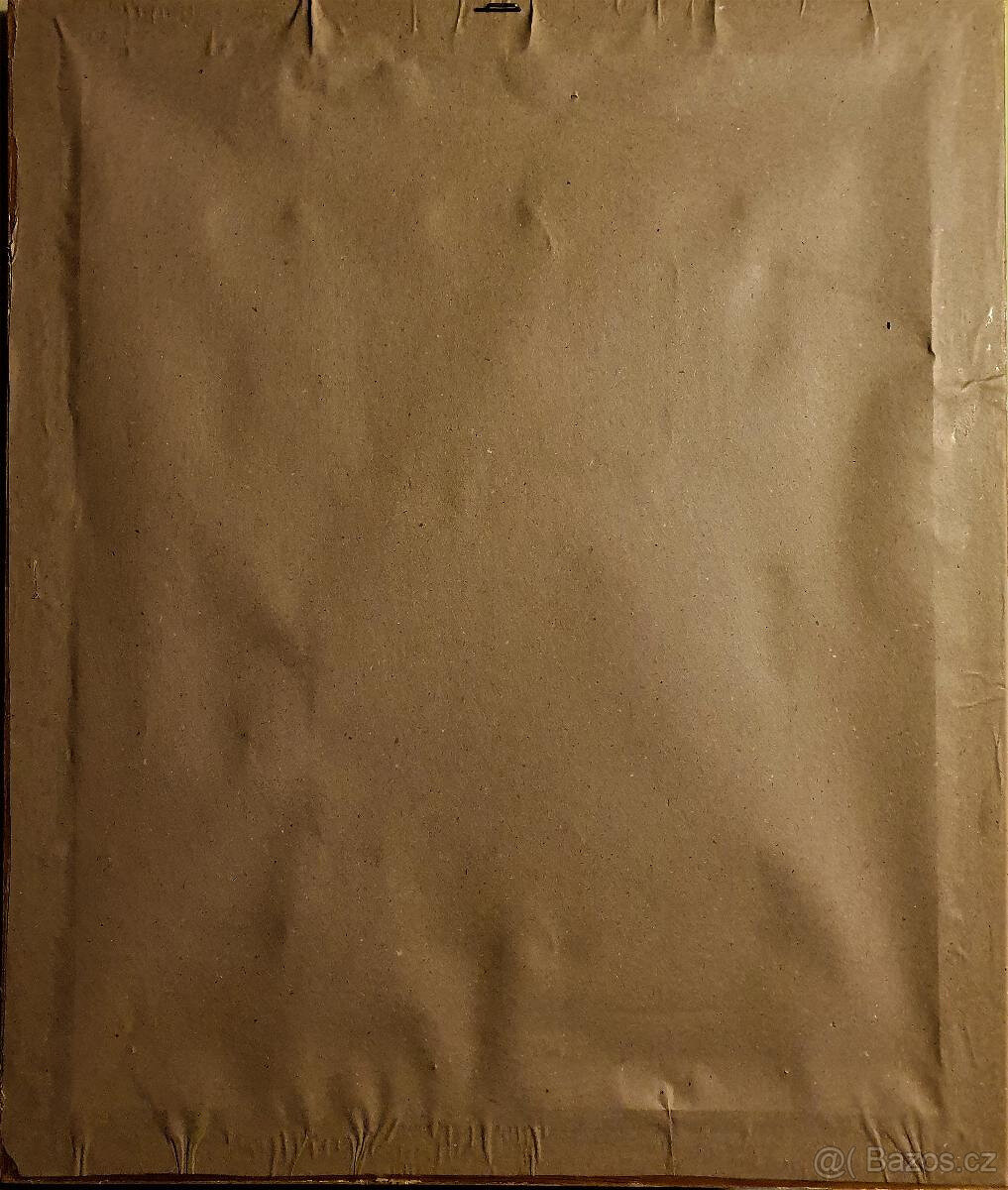 Predám obrazy zberateľovi (7) - 9