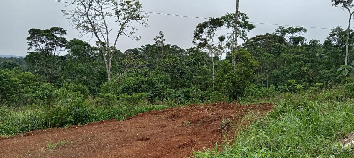 Pozemek v Amazonii - 9