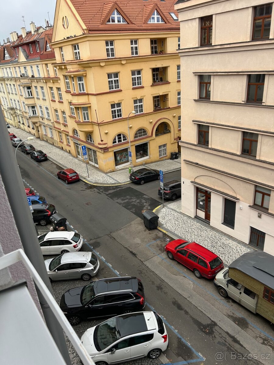 Byt 1+1 k pronajmu v Praze 6, Brevnov, BEZ PROVIZE - 9