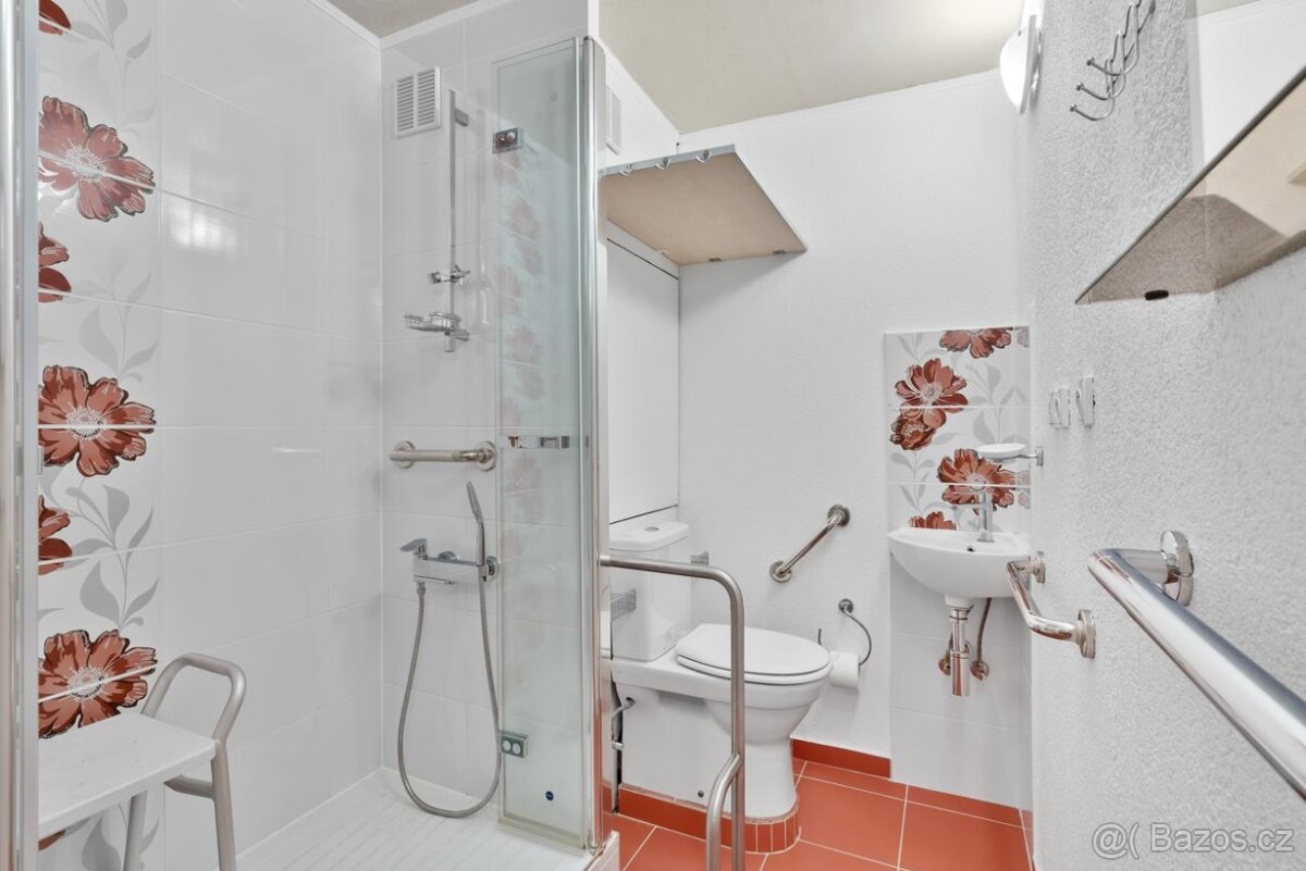 Pronájem bytu 1kk - sídliště Pod Vyhlídkou - 9