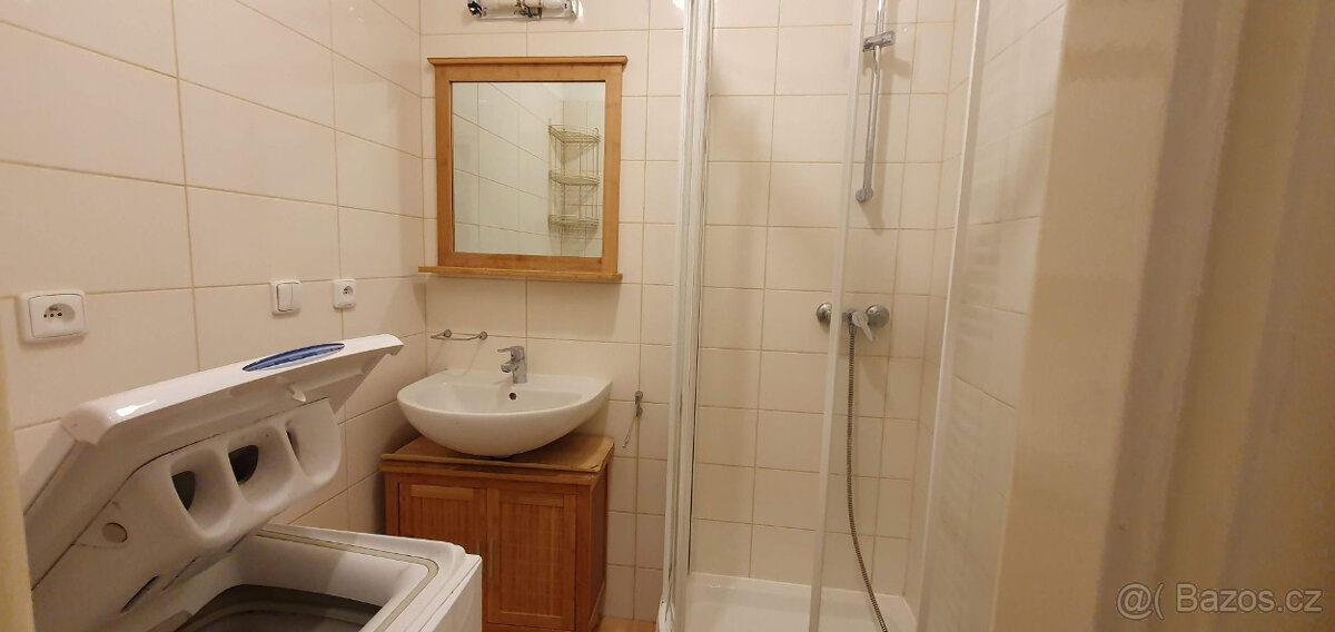 Pronájem bytu 2+1 na ul. Evžena Rošického - 9