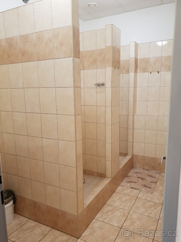 Pronájem skladových a výrobních prostor - 9