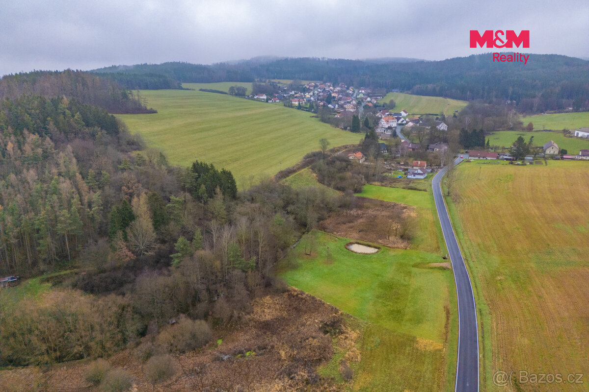 Prodej louky, 6272 m², Hůrky - 9