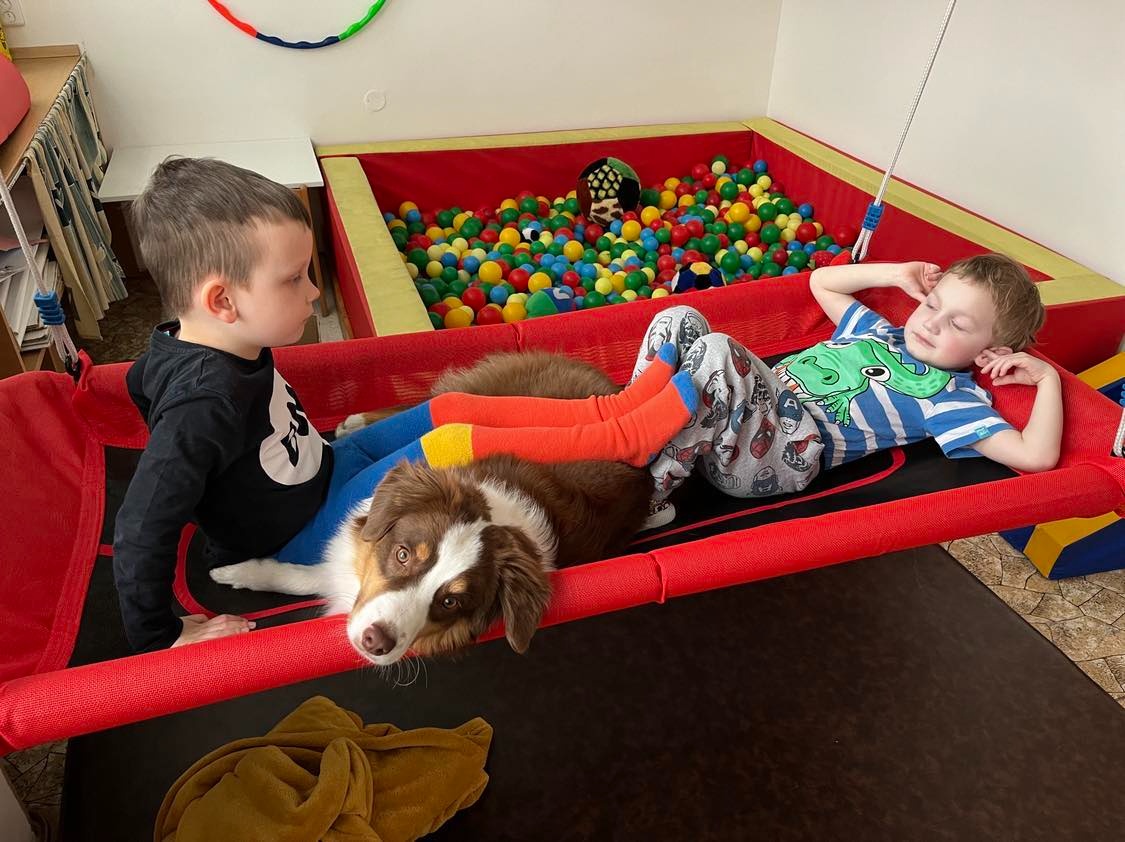 MINIATURNÍ AMERICKÝ OVČÁK - psi - 9