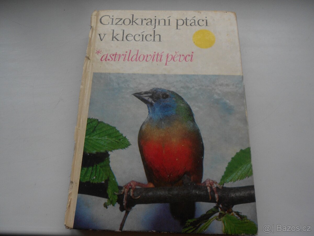 rybáři, zvířectvo, ptactvo, koně - 9