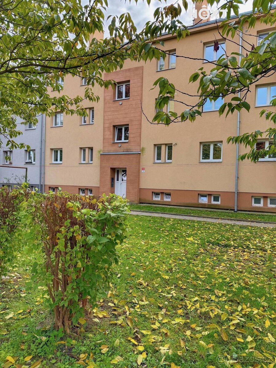 Pronájem byt 2+1, 55㎡ - 9