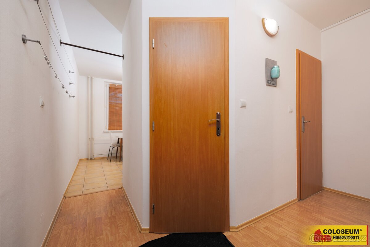 Brno - Královo Pole, byt OV 1+1, sklepní kóje, lodžie, inves - 9