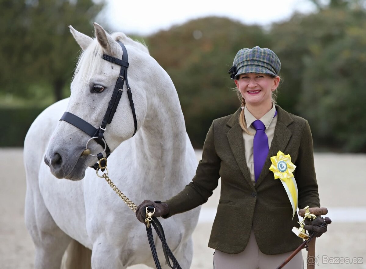 Nádherný valach na všechno:-) - 9