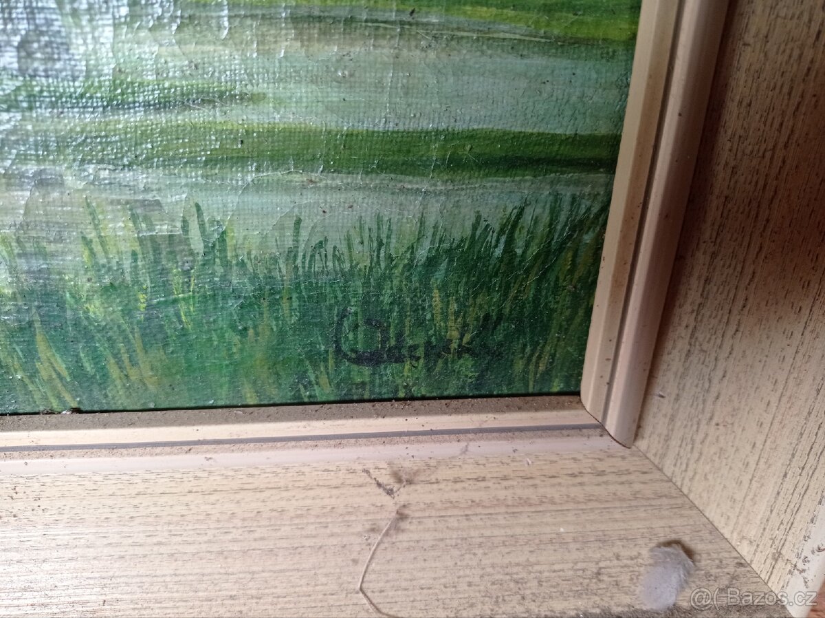 Obrázek obraz obrazy - 9