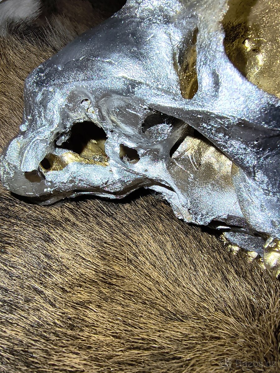 Originální dekorace – mufloní lebka - 9