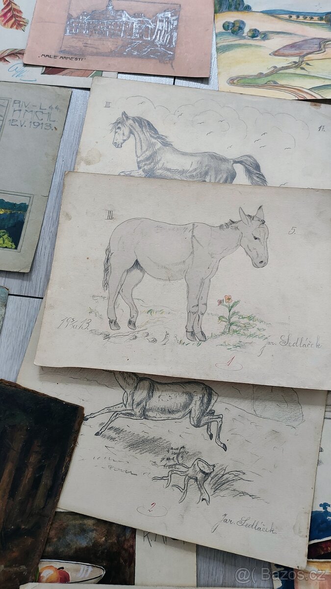 Obrazy, obrázky - 9