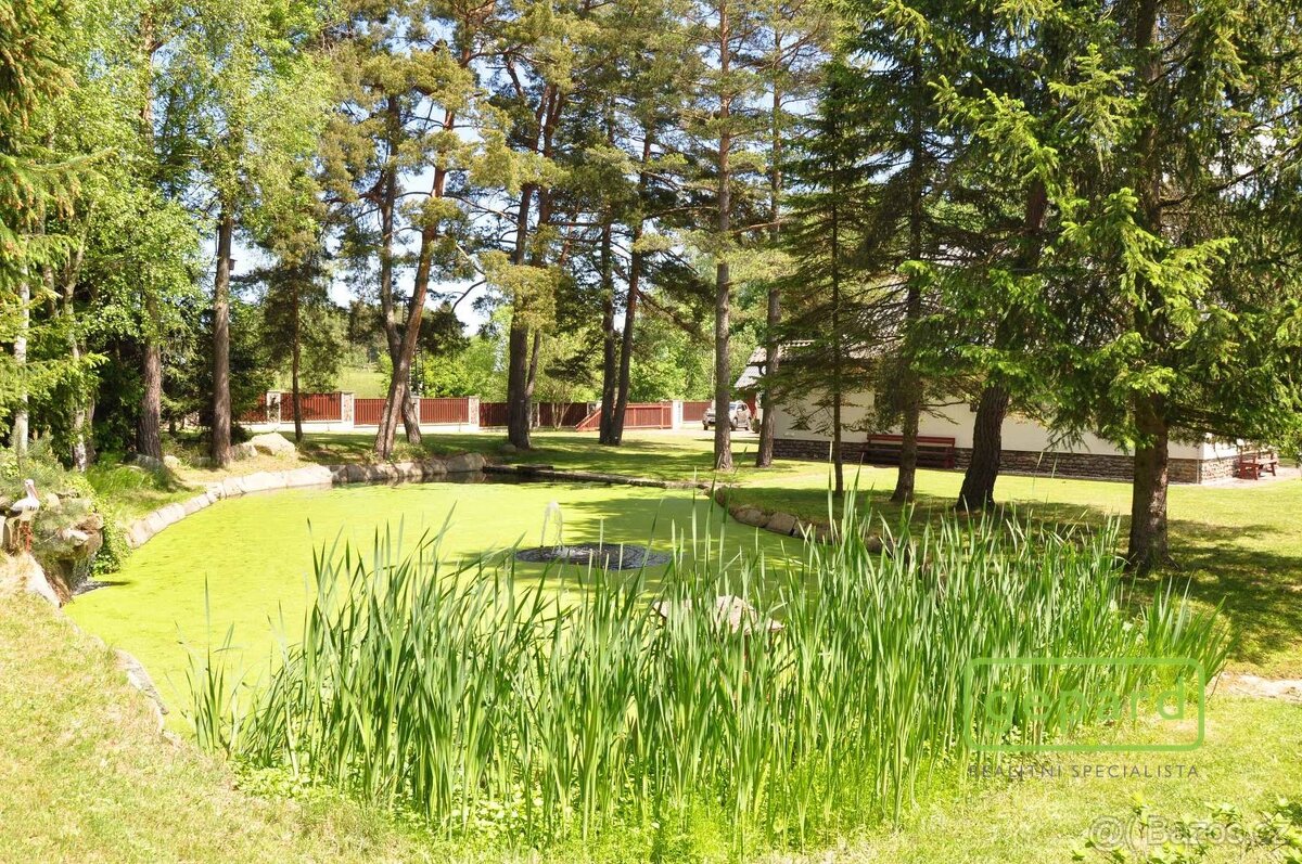 Prodej, Rodinný dům 222 m2, pozemek 7 330 m2, Dvory u Lažišť - 9