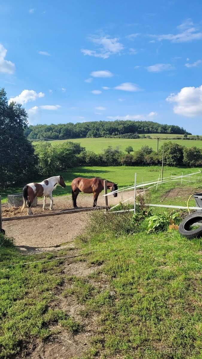 Ustájení Praha-západ - 9