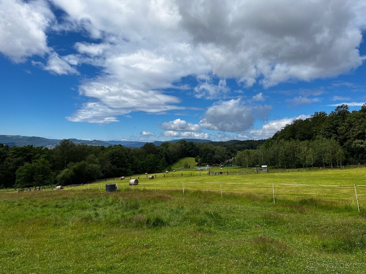 Rezervace na dexter jalovice s POP na rok 2026 - 9