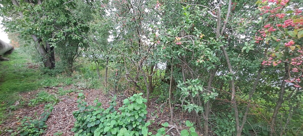 \Prodej pozemku u Hovorčovic - 9