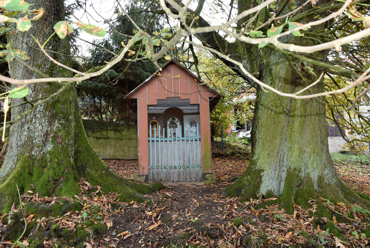 Janov - zemědělská usedlost se stodolou a pozemky 11 612 m2 - 9