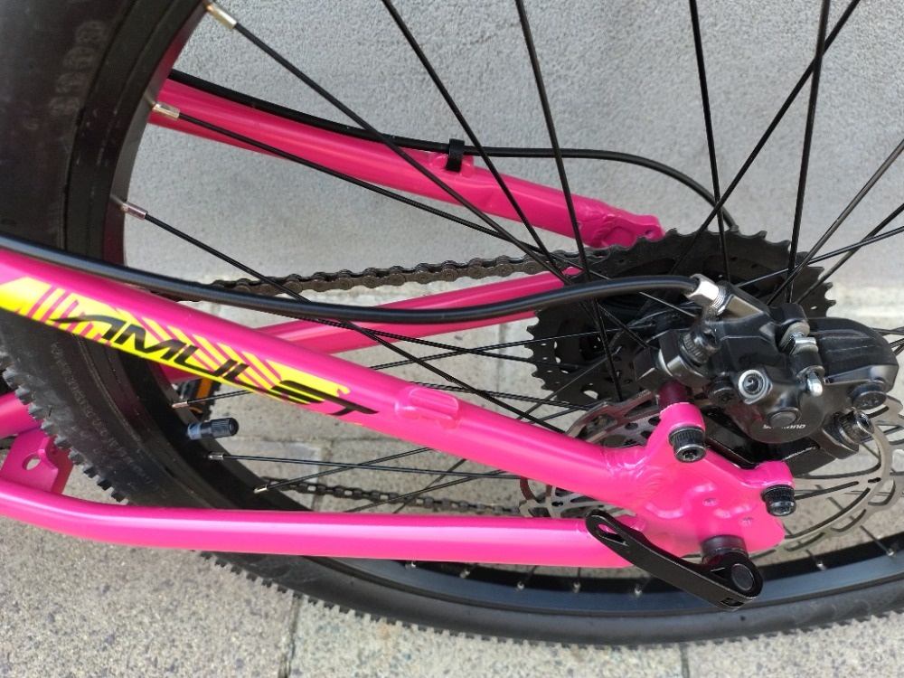 Dívčí kolo Amulet Alloy Tomcat 24 - 9