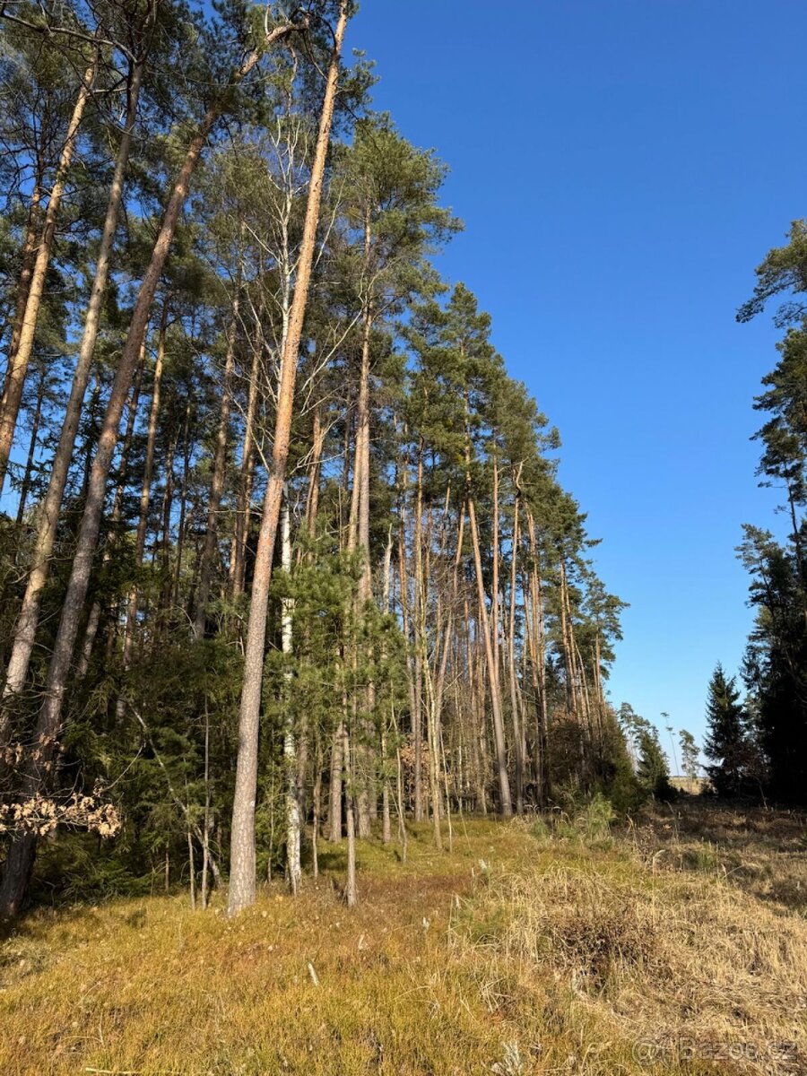 Prodám pozemky v katastrálním území Nemějice - 9