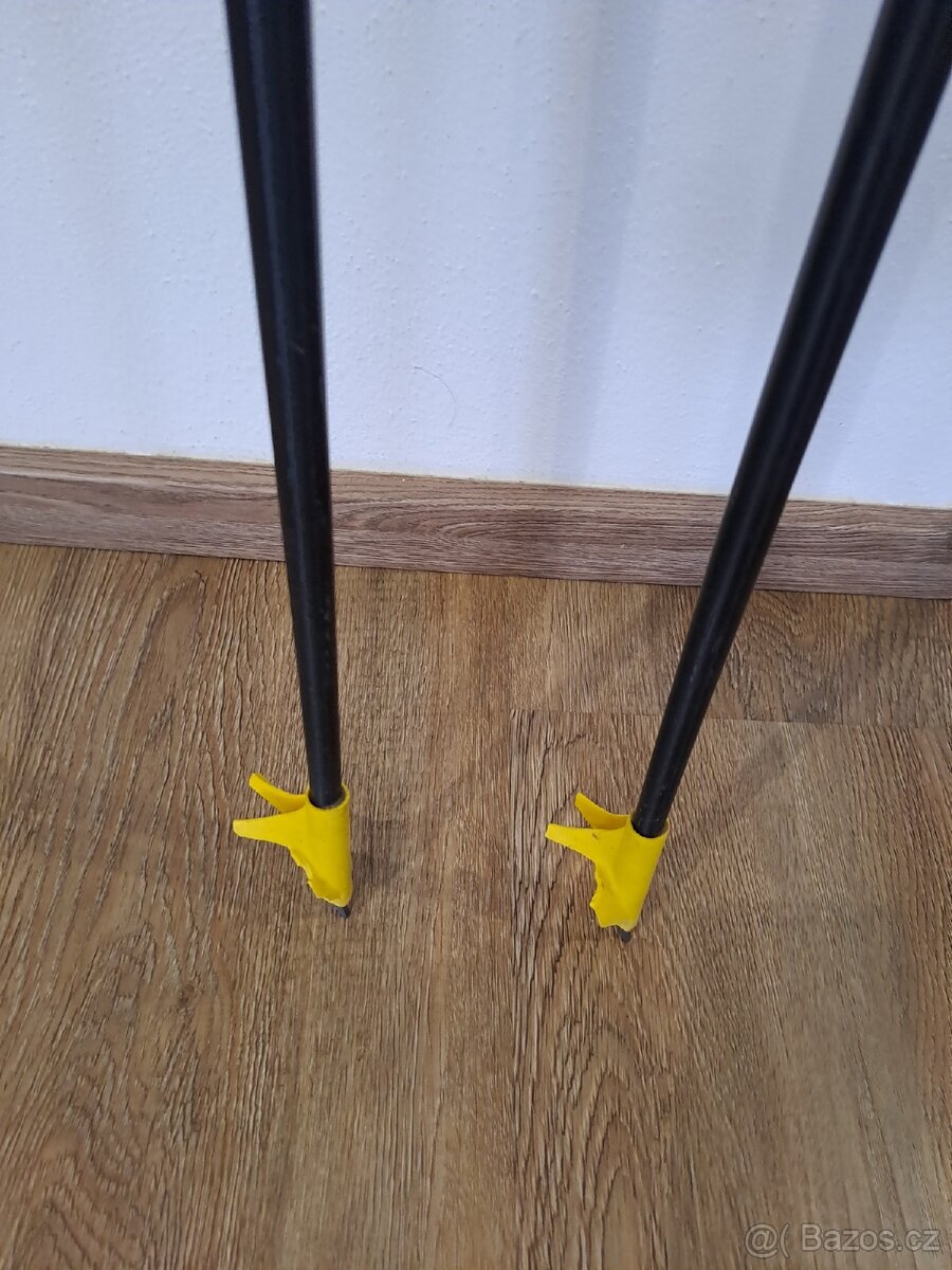 Běžecké hůlky AXON, JESAN - 9