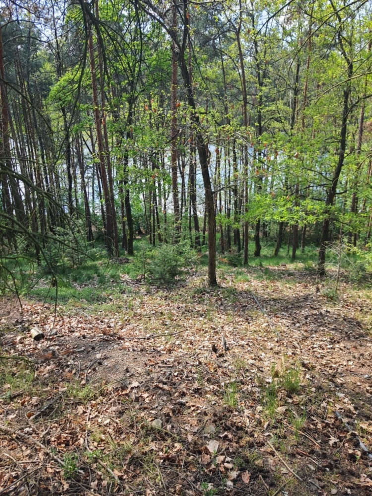 Chata na Hracholuskách - 1.řada u vody - 9