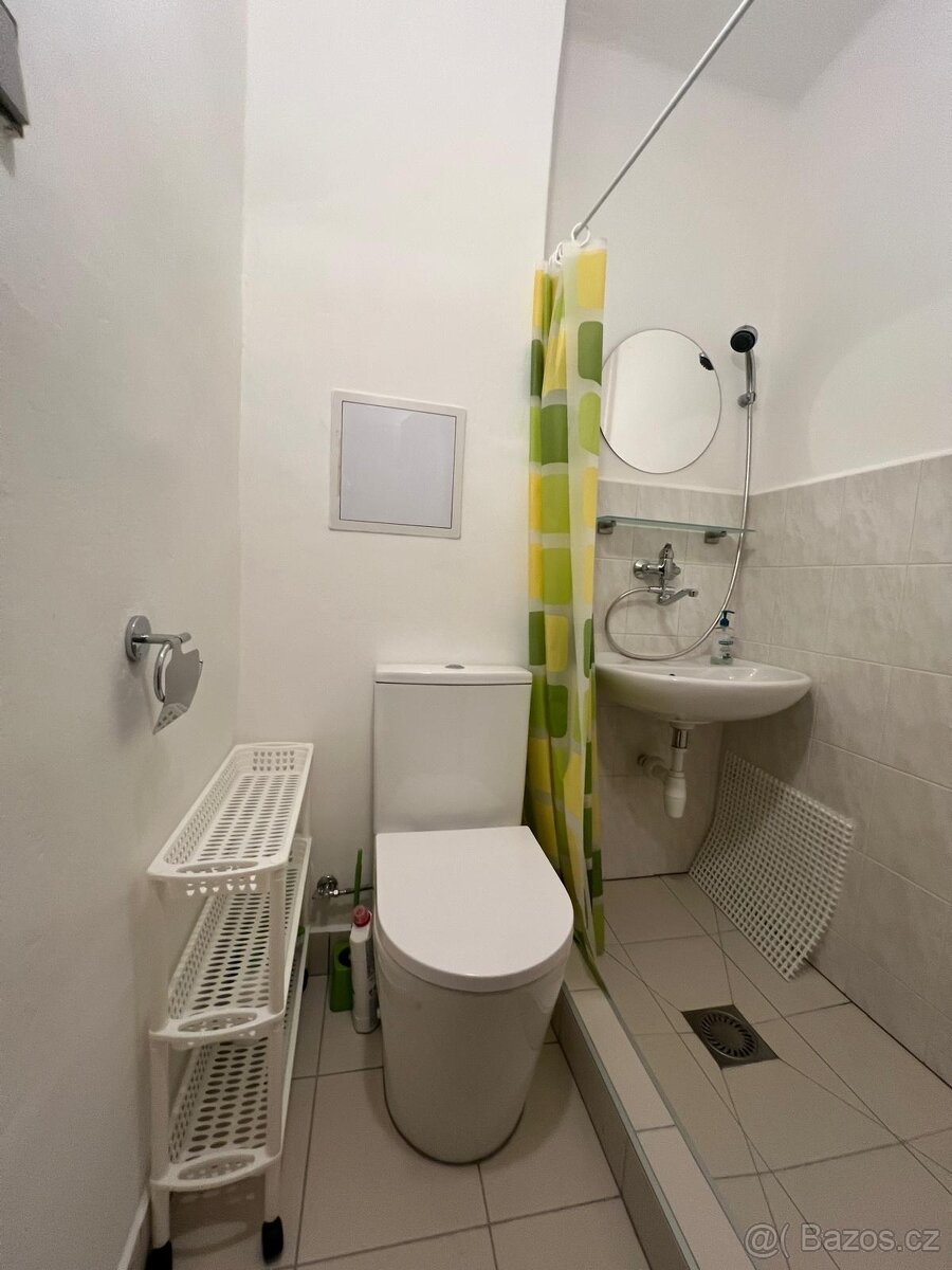 Pronájem, byt 0+1,22 m2, ul. Svazácká, Ostrava -Zábřeh - 9