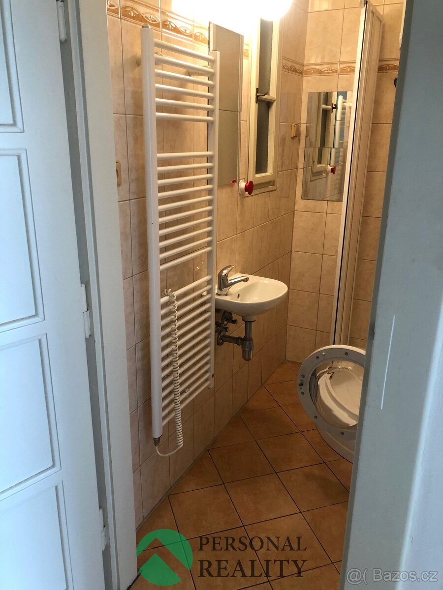 Pronájem slunného bytu 2+kk 45 m², Praha 2 - Vinohrady, Pols - 9