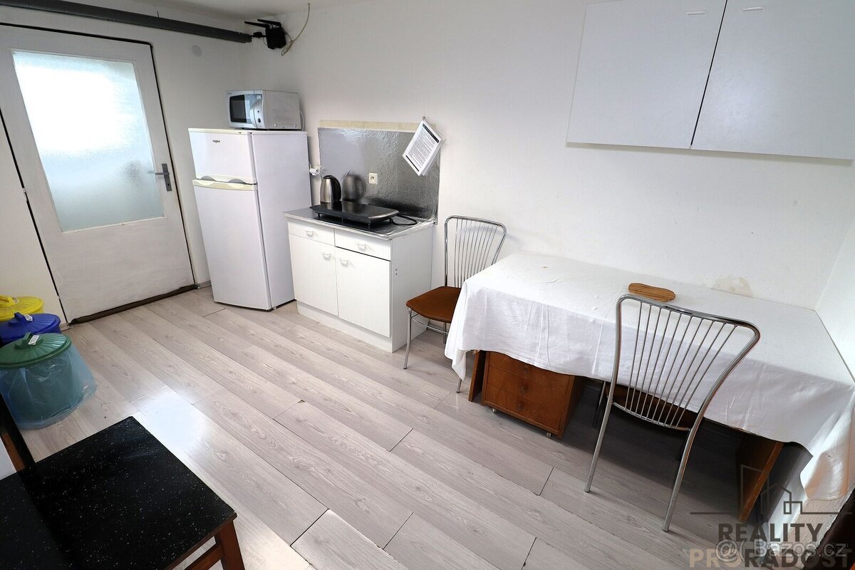 Pronájem bytu 1+1 s předzahrádkou v Ivančicích u Brna - 9