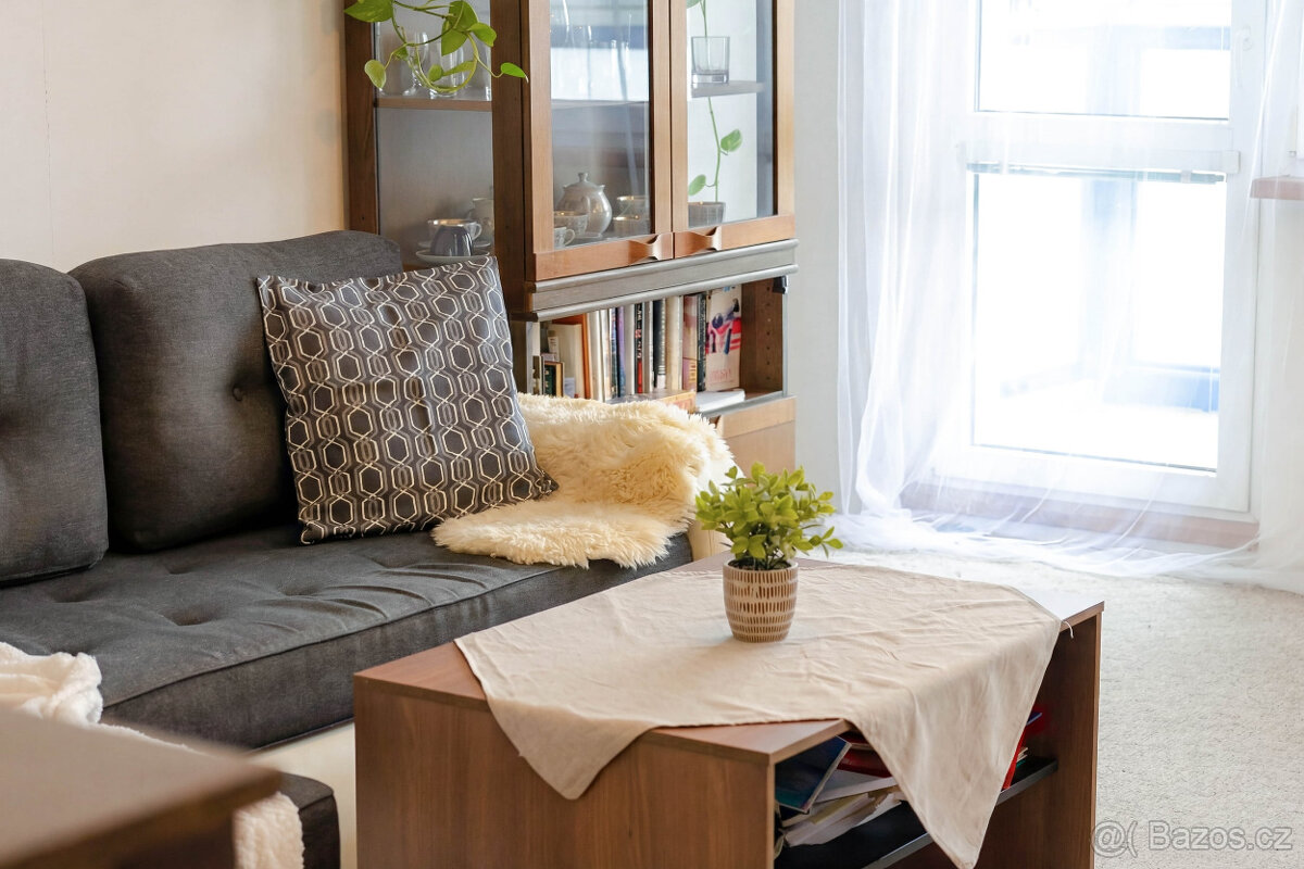 Praktický byt 3+1 - Praha Chodov - 9
