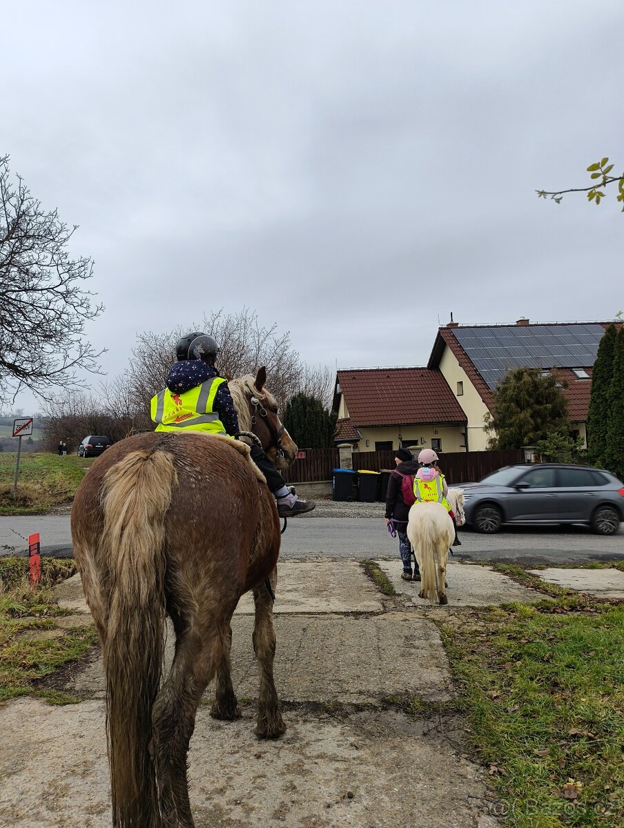 Nabízím klisnu hodnou ČMB - 9