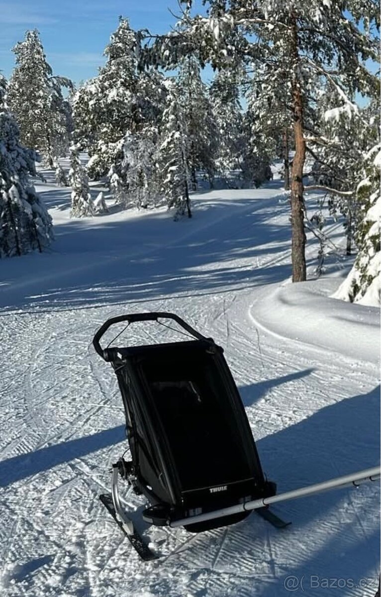 Thule Chariot Sport - 9