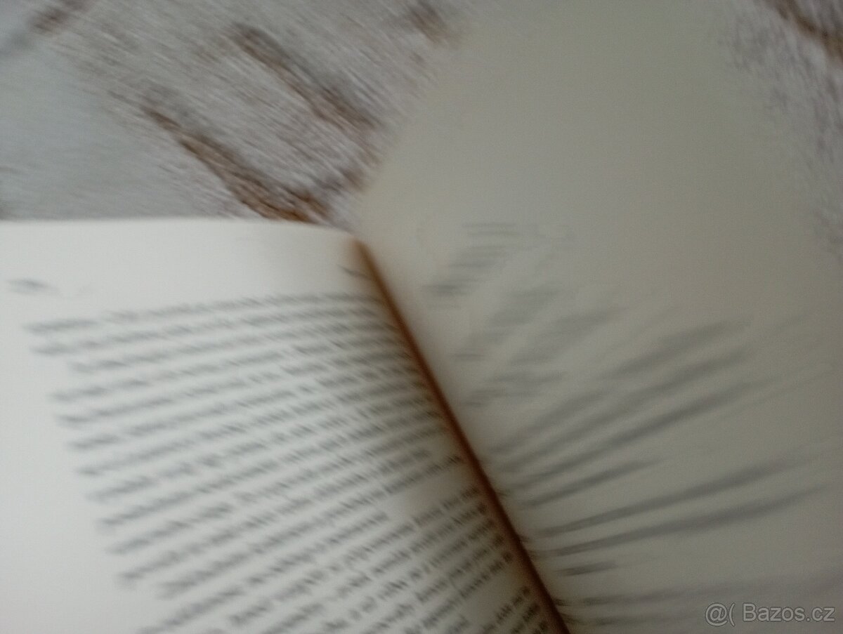 Cynthia Bourgeault: Tajemství Marie Magdalény - 9