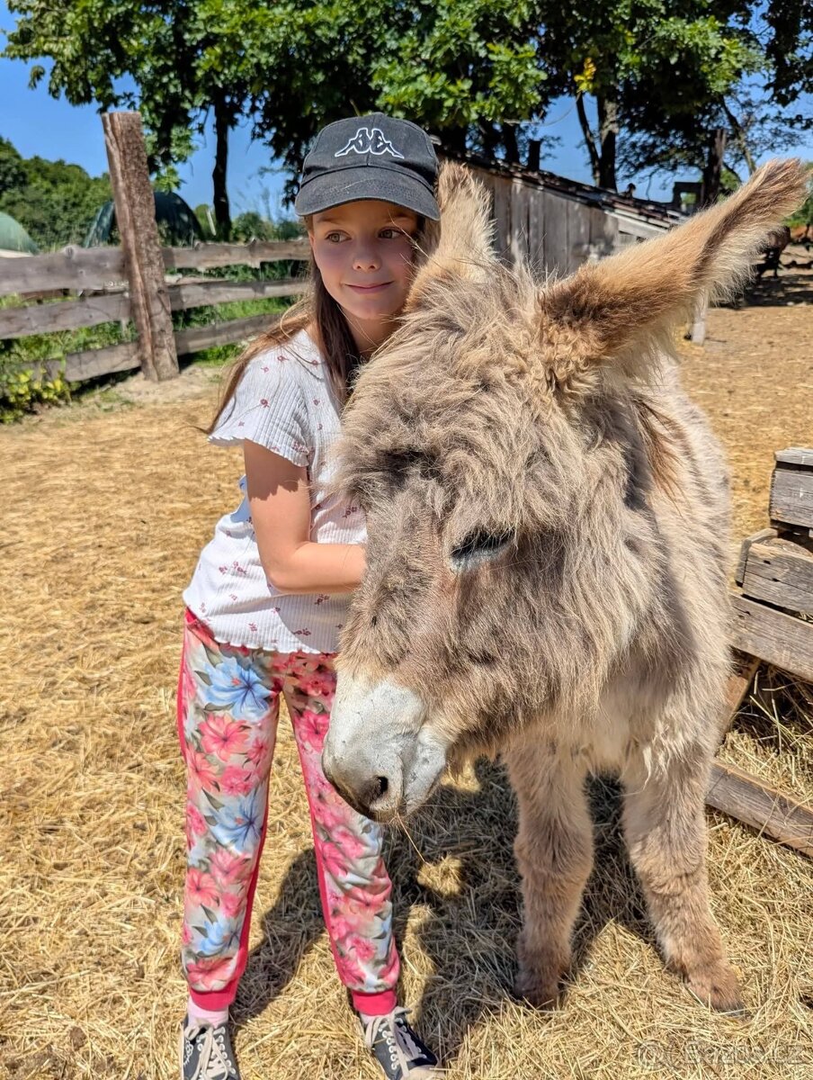 Dětský pobytový tábor u koní - 9
